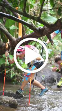 BIB:  <button type="button" onclick="openModal(27824933)" class="btn btn-primary btn-sm float-right" data-toggle="modal" data-target=".modal-high-quality">
                <i class="fa fa-download"></i> Download
                </button>